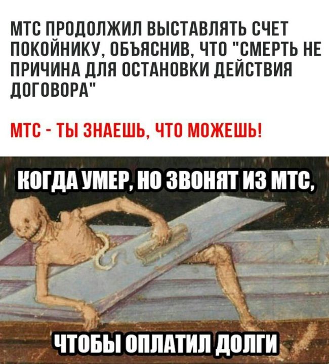 Отборный юмор из социальных сетей