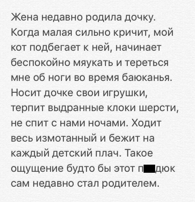 Отборный юмор из социальных сетей