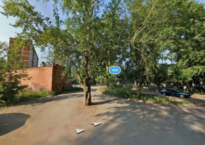 В Екатеринбурге старый пень посреди дороги закатали в асфальт