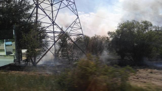 Пожар в «рыжем лесу» в зоне отчуждения ЧАЭС