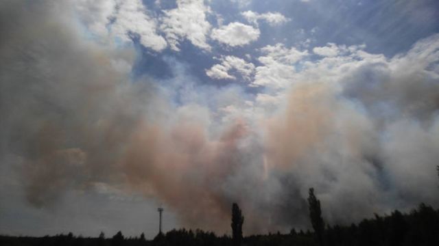 Пожар в «рыжем лесу» в зоне отчуждения ЧАЭС