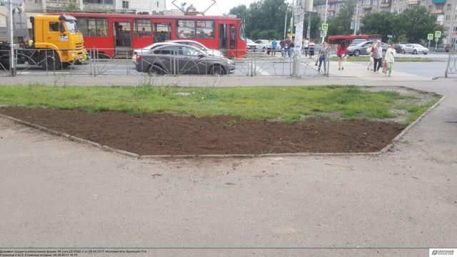 Власти решили проблему с газоном