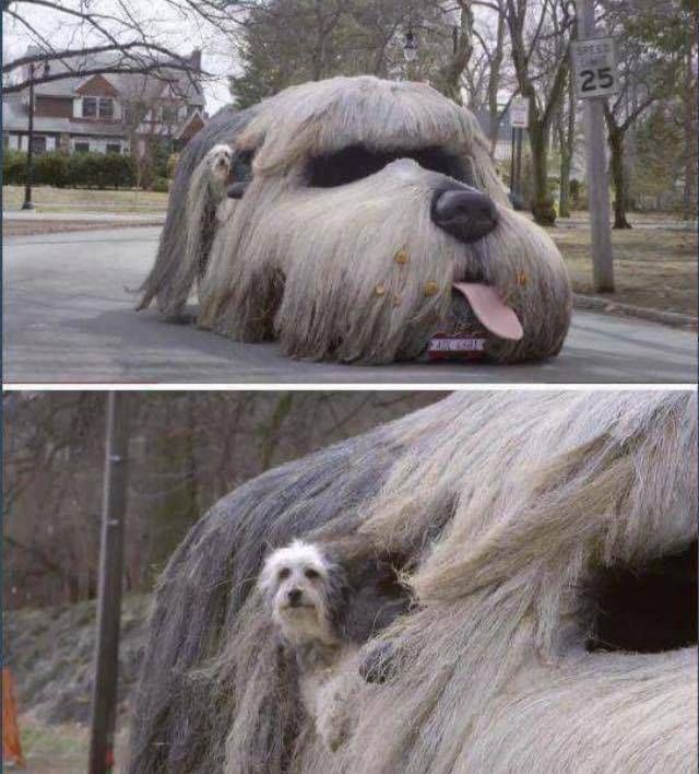 Прикольные картинки