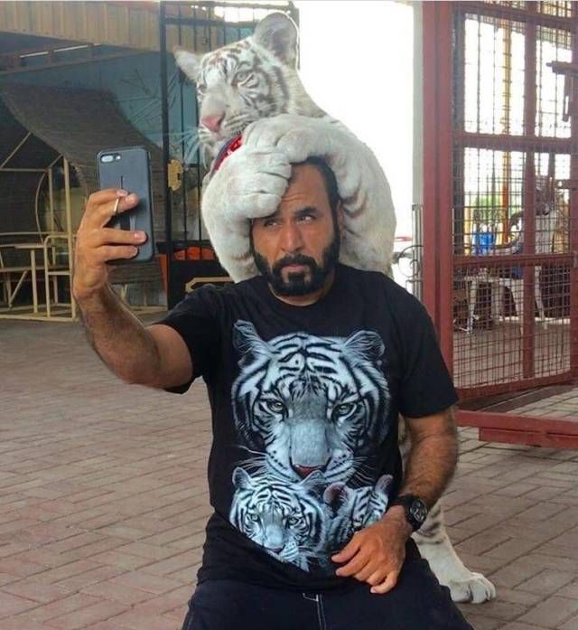Прикольные картинки
