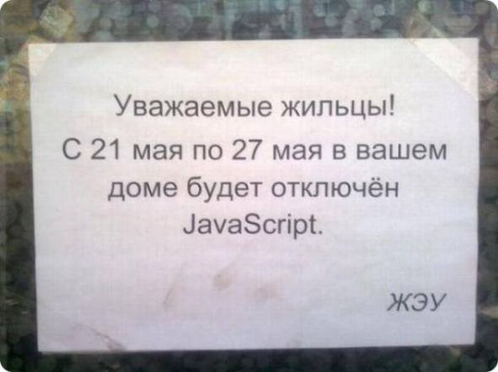 Порция картинок