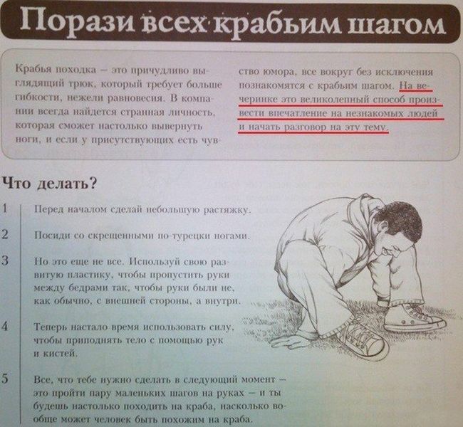 Порция картинок
