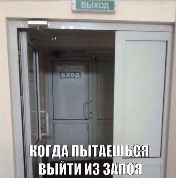 Порция картинок