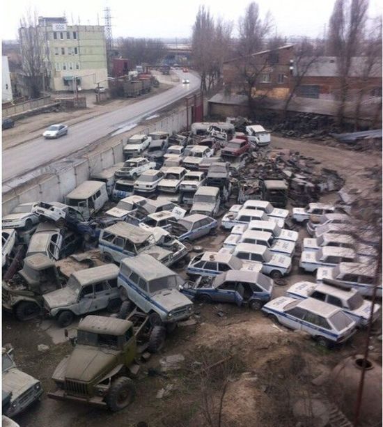 Порция картинок