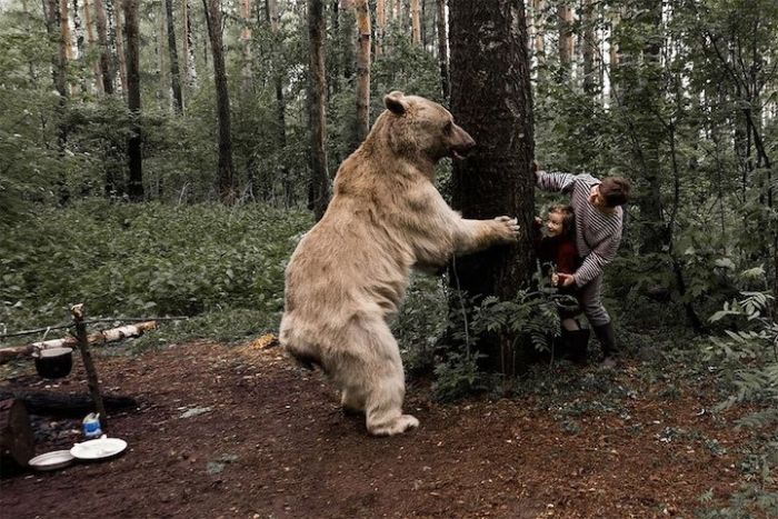 Фотосессия семьи дрессировщика Юрия Пантелеенко с ручным медведем Степаном