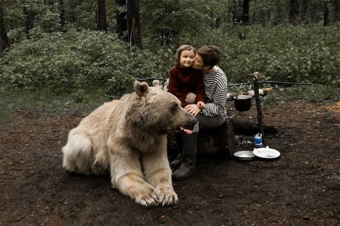 Фотосессия семьи дрессировщика Юрия Пантелеенко с ручным медведем Степаном