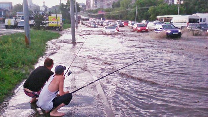 Прикольные картинки