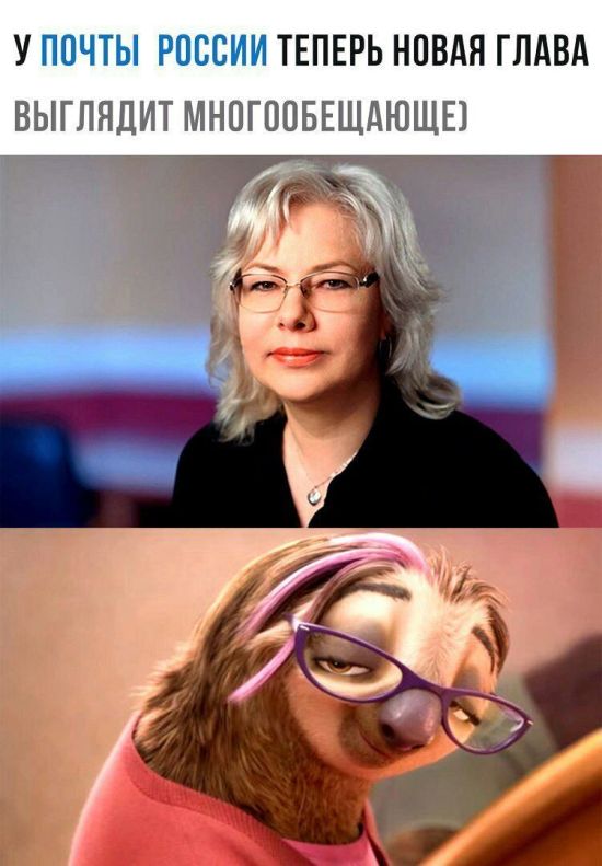 Юмор из социальных сетей