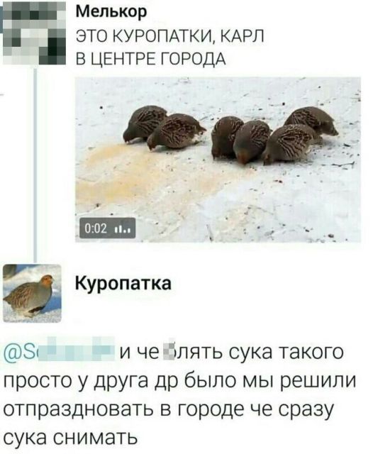 Юмор из социальных сетей