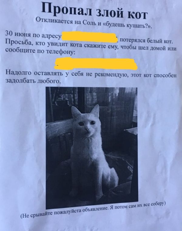 Прикольные картинки