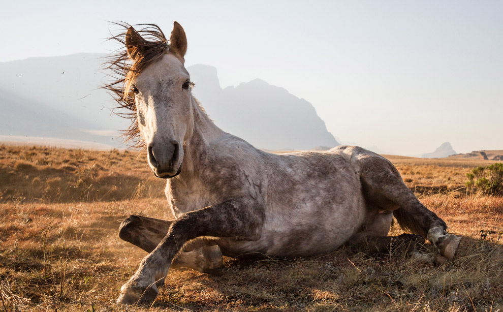 Победители конкурса фотографий National Geographic Traveler 2014 Победители конкурса фотографий National Geographic Traveler 2014