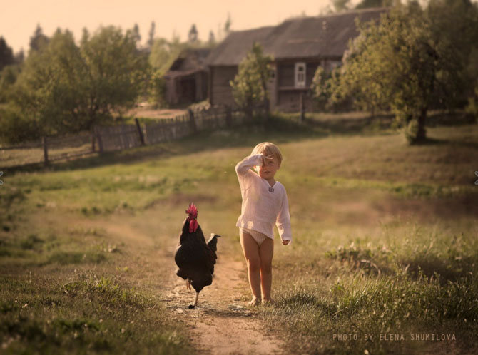 Лето в деревне (23 фото)