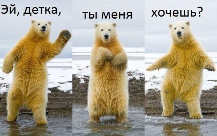 Прикольные картинки