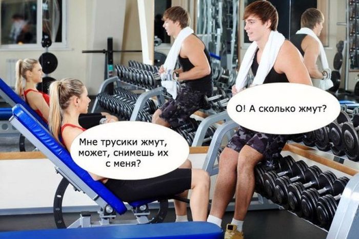 Прикольные картинки