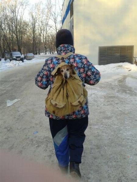Прикольные картинки