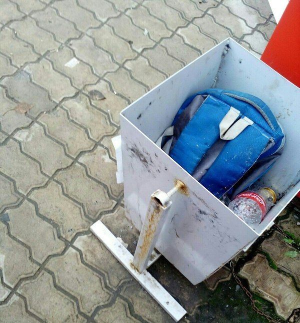 Прикольные картинки