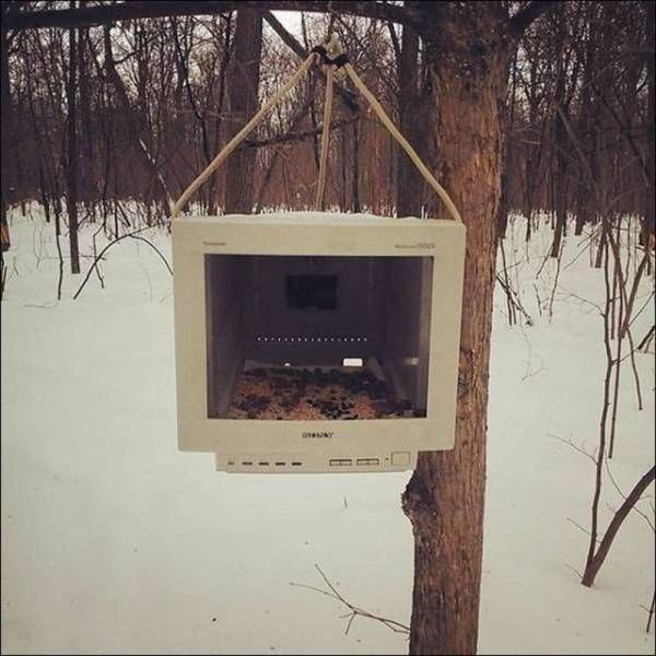 Прикольные картинки