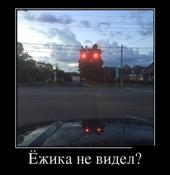 Демотиваторы