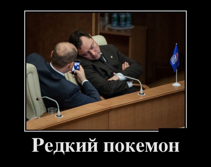 Демотиваторы