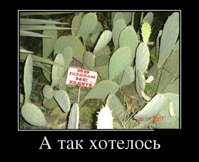 Демотиваторы