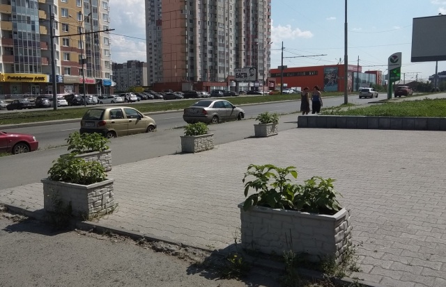 Странные декоративные клумбы в Екатеринбурге