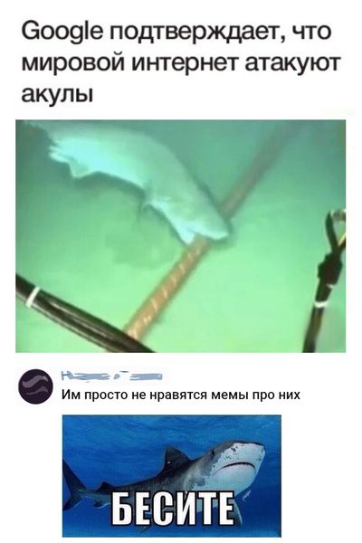 Смешные комментарии и высказывания из соцсетей
