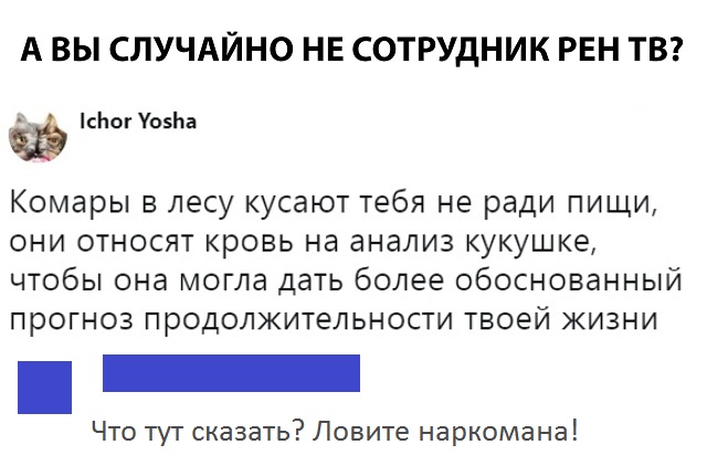 Смешные комментарии и высказывания из соцсетей