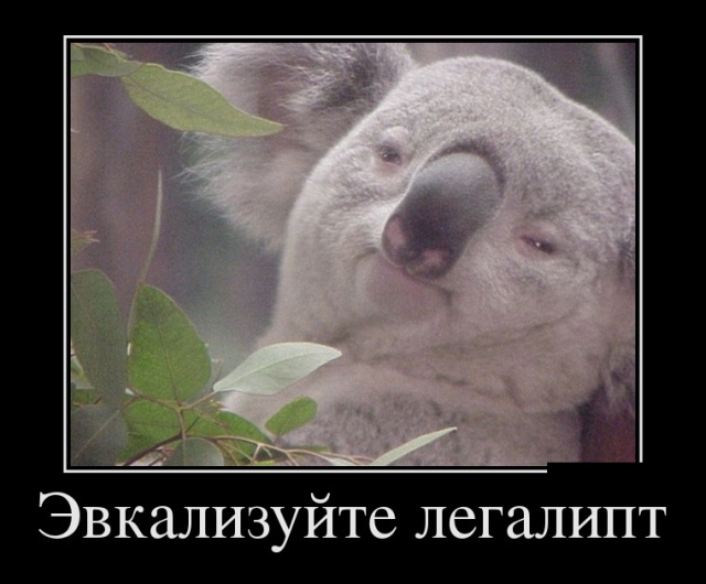 Демотиваторы