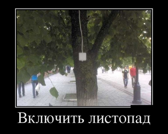Демотиваторы
