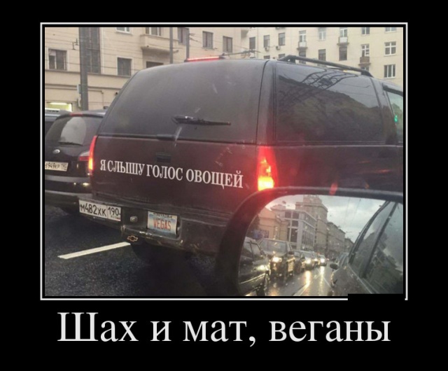 Демотиваторы