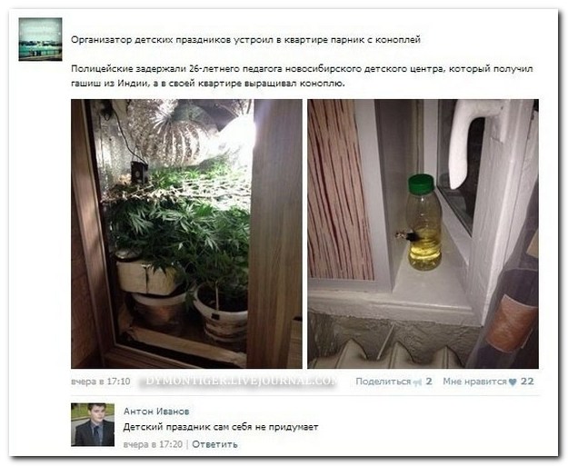 Смешные комментарии из социальных сетей (30 фото)