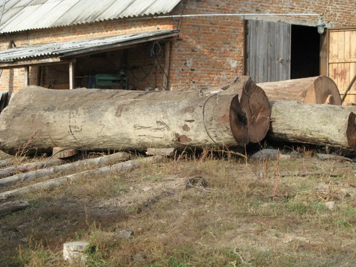 На дне рек лежат тысячи долларов