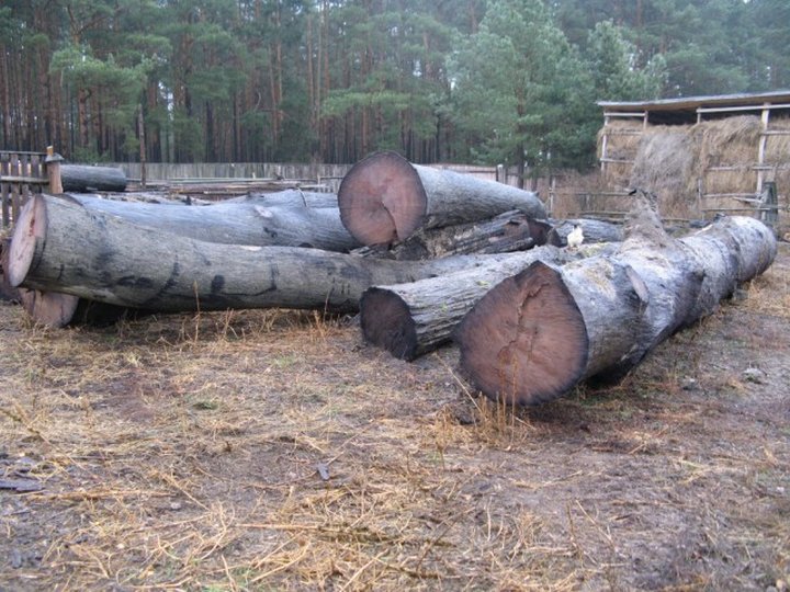 На дне рек лежат тысячи долларов