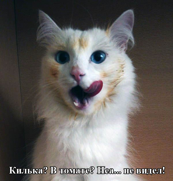 Порция картинок