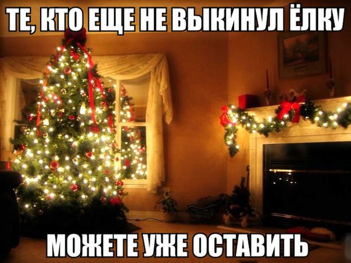Порция картинок