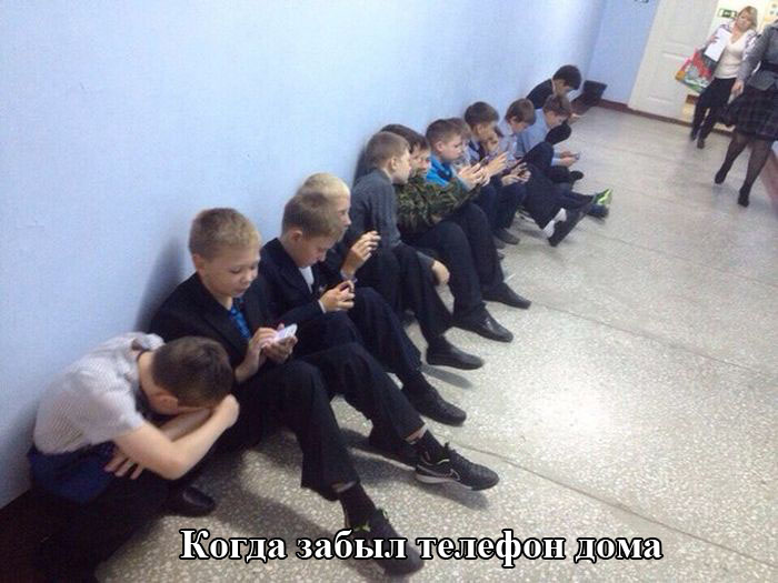 Порция картинок