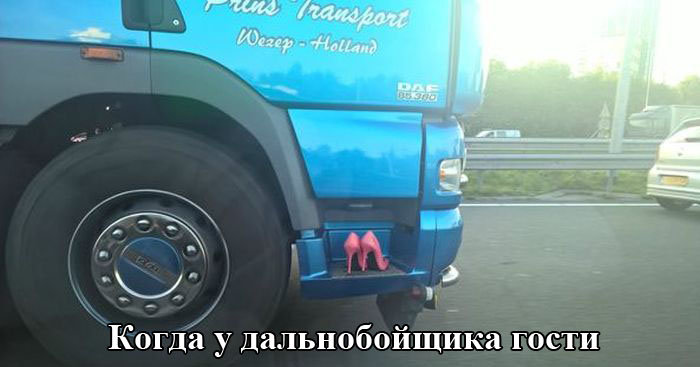 Порция картинок