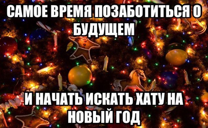 Порция картинок