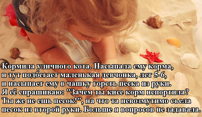 Порция картинок