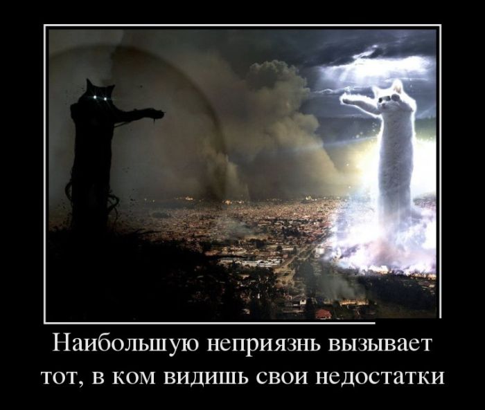 Демотиваторы