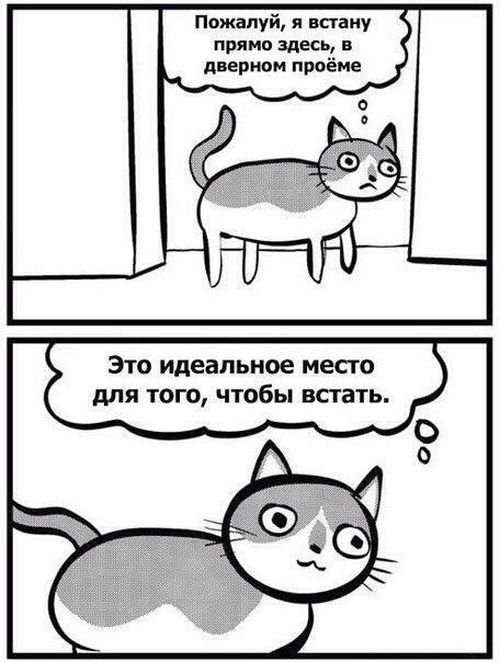 Смешные комиксы