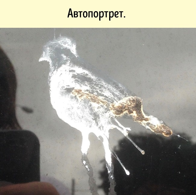 23 примера черного юмора, от которых даже смех и тот ужасен