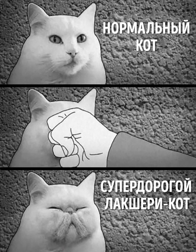 23 примера черного юмора, от которых даже смех и тот ужасен