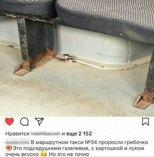 Прикольные картинки