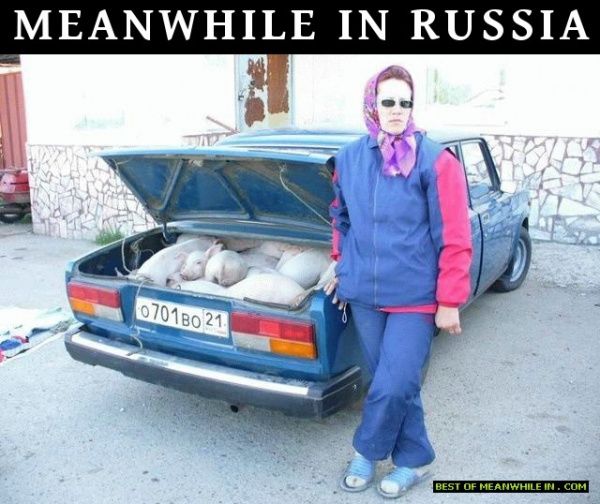 Тем временем в Россиии (38 фото)