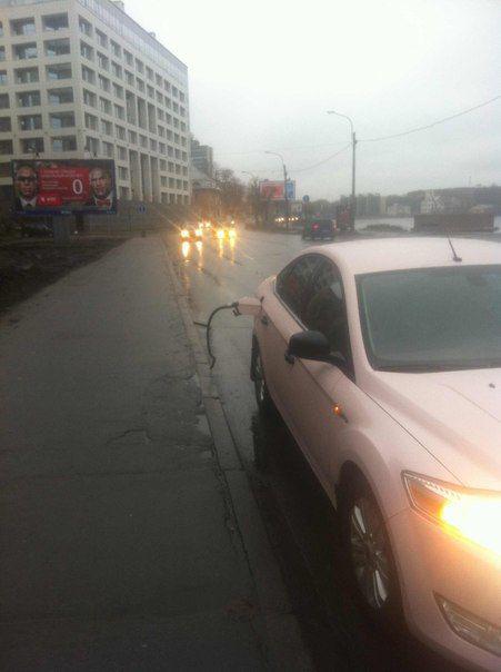 Прикольные картинки (55 фото)